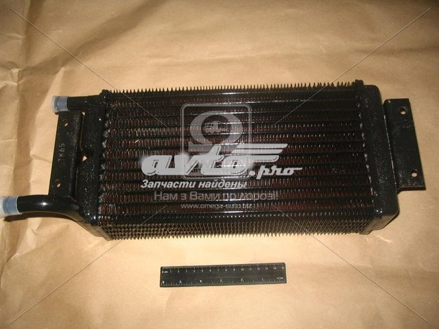 4308C8101060 Tempest 