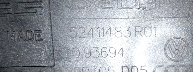 52411483R01 VAG 