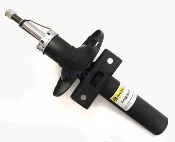 RS200419 Raiso Стійка передня
