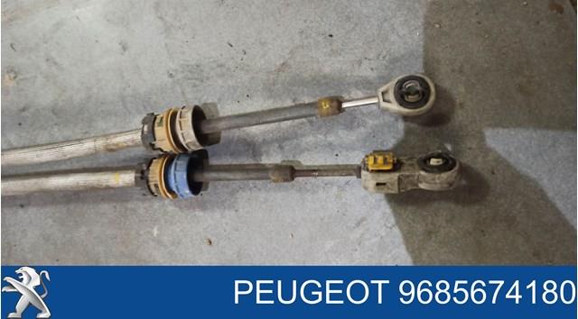 9685674180 Peugeot/Citroen 