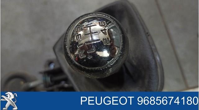  9685674180 Peugeot/Citroen