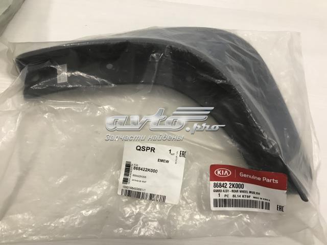 Купити 868422K000 Hyundai/Kia Бризковики задній, правий