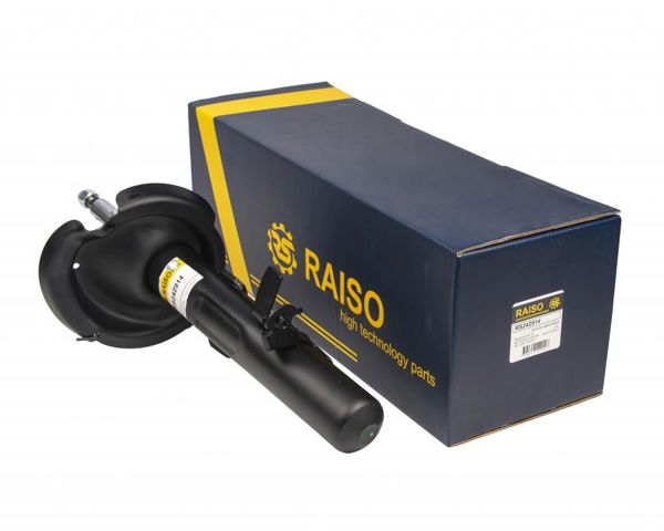 RS242914 Raiso Амортизатор передньої підвіски