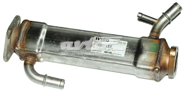 504158592 Iveco 