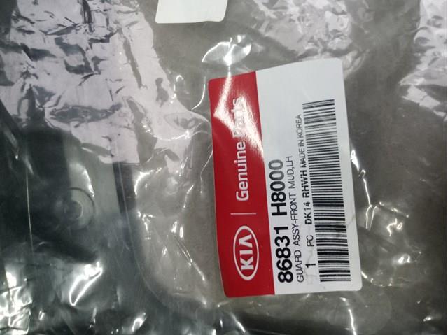 Бризковики передній, лівий Hyundai/Kia 86831H8000 ціна, від 10.51 USD