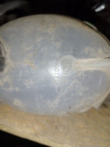  217100680R Renault (RVI)