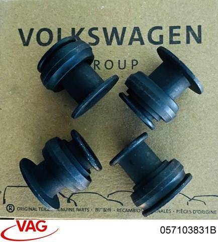 Ущільнююче кільце Volkswagen Passat (B7, 362) (Фольцваген Пассат)