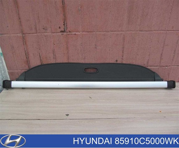  Hyundai/Kia 85910C5000WK