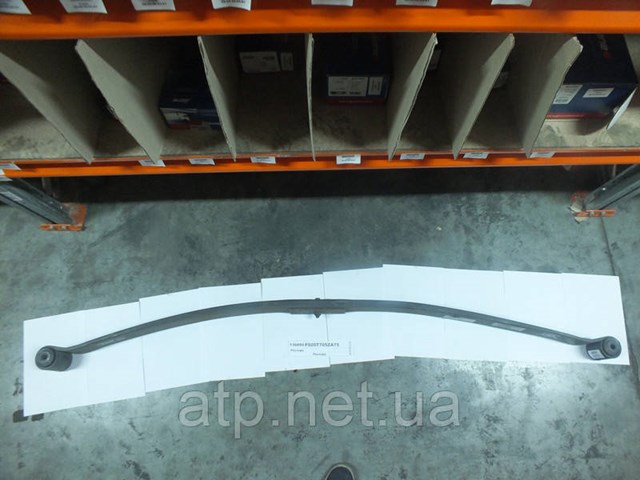 Купити F020T705ZA75 Weweler Ресора (передня)