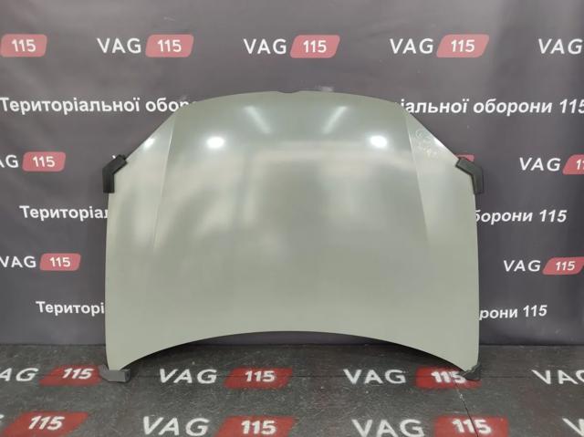 PVW20031A Signeda Капот