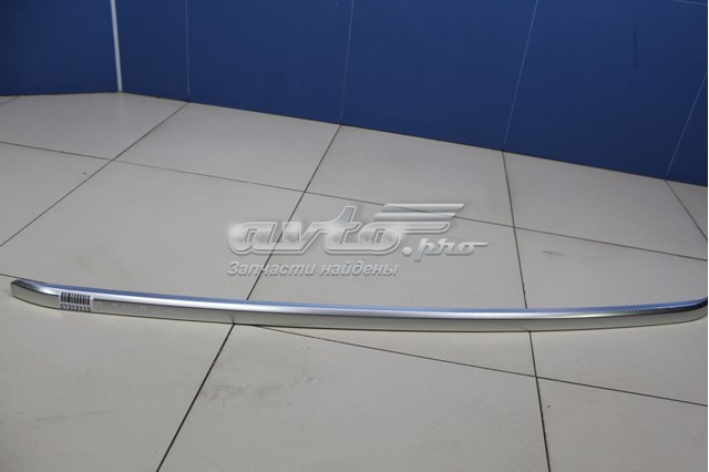 98567356VV Peugeot/Citroen Автомобільний рейлінг на дах лівий