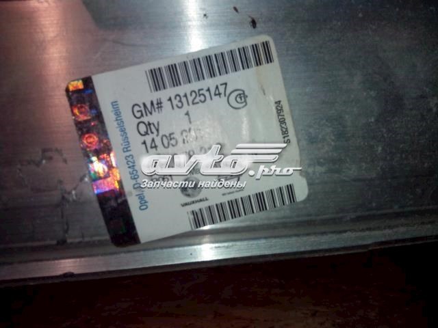 Підсилювач бампера заднього General Motors 13125147