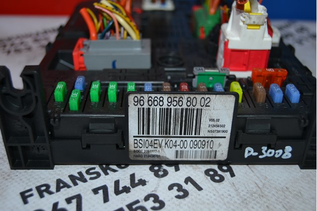 9666895680 Peugeot/Citroen 