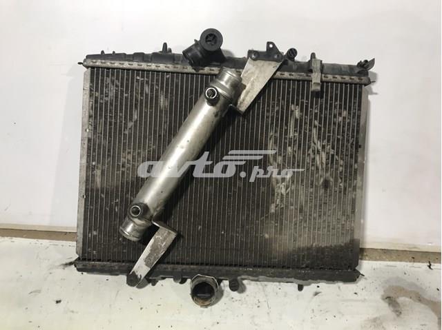 9637969480 Peugeot/Citroen 