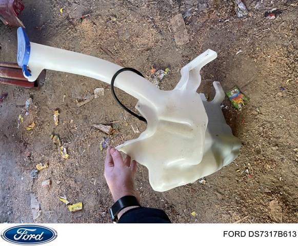  DS7317B613 Ford