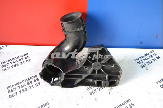  9681774380 Peugeot/Citroen
