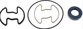 AR8003KIT MSG Ремкомплект насосу гідропідсилювача керма