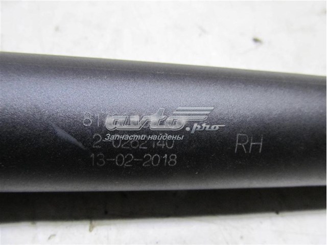 Амортизатор двері задньої Hyundai/Kia 81780C5100 ціна, від 305.36 USD