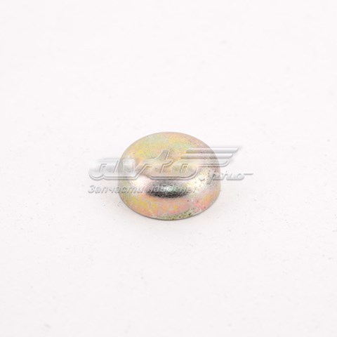 4801003018 Chery Заглушка головки блока