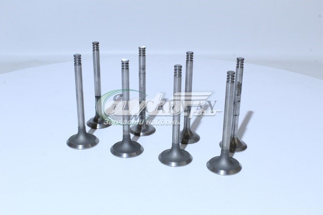 Клапана двигуна, комплект Lada 2108100701086 ціна, від 30.92 USD