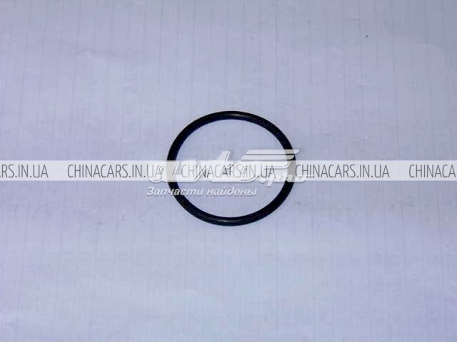  E050000301 Geely