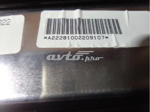 A22281002209107 Mercedes 