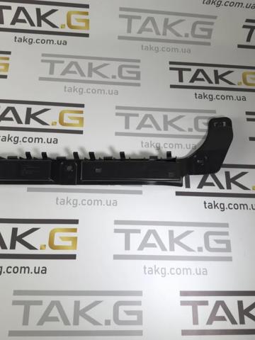 Купити 175709600D Tesla Кронштейн бампера заднього, центральний