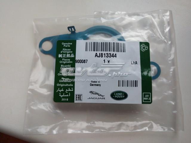  Jaguar AJ813344 ціна, від 20.78 USD