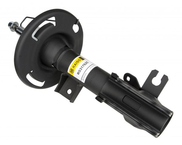 Амортизатор передній, правий Raiso RS317625 ціна, від 42.38 USD