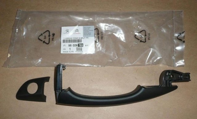98029781XT Peugeot/Citroen 
