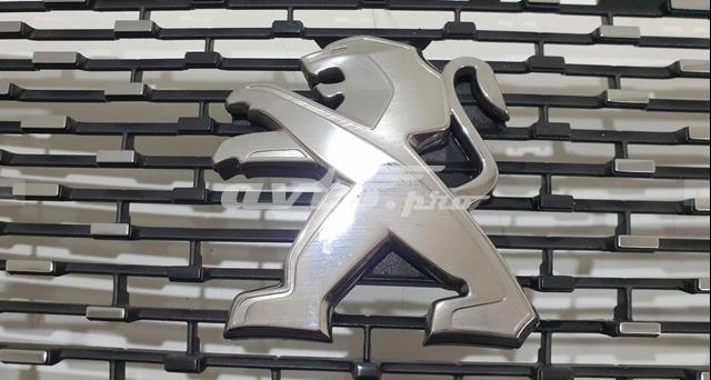 9826326680 Peugeot/Citroen 