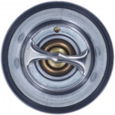 Купити 52028898MR Motorad 