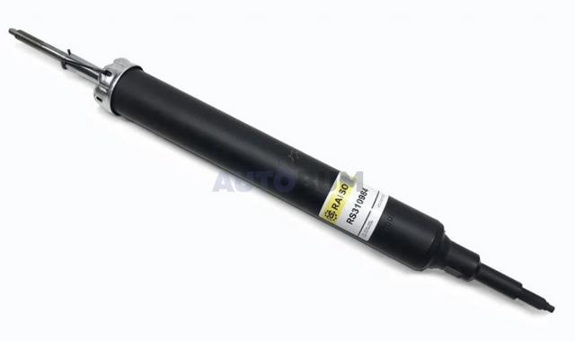 Задній амортизатор Raiso RS310984