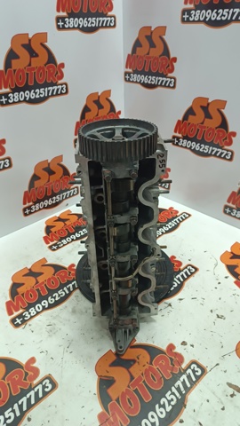 Головка двигуна Fiat/Alfa/Lancia 55193091 ціна, від 135.26 USD