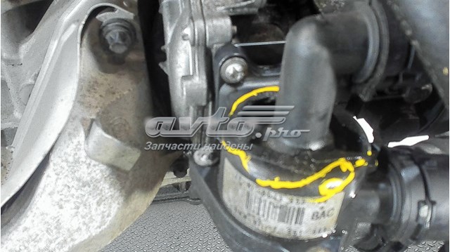  11000430923 BMW
