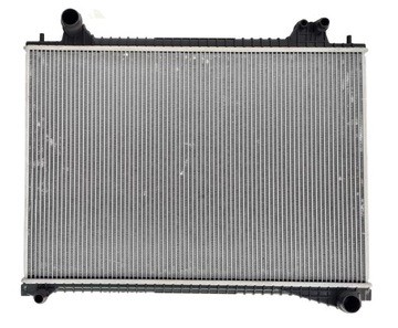  T4A3255 Jaguar