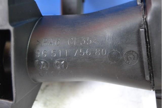 9651175680 Peugeot/Citroen 