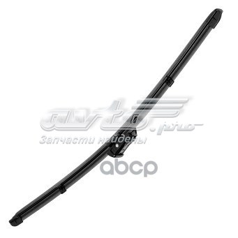 T4A13720 Jaguar 