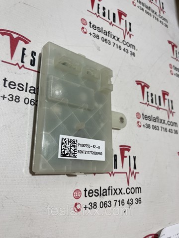  Tesla 109275582B