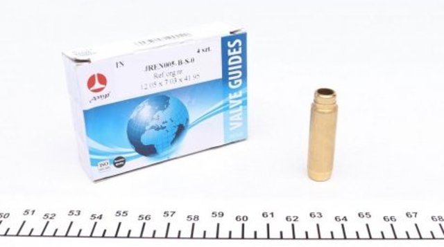 JREN005BS0 AMP/Paradowscy Направляюча клапана, впускного