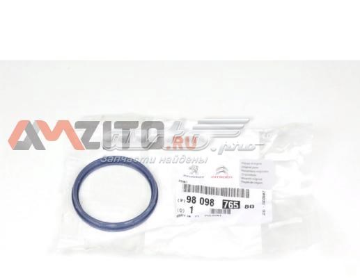 9809876580 Peugeot/Citroen Прокладка EGR-клапана рециркуляції