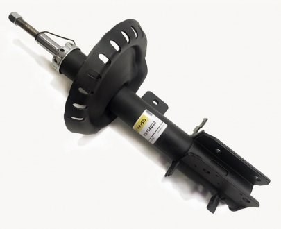 Амортизатор передньої підвіски, лівий Raiso RS314032 ціна, від 45.21 USD