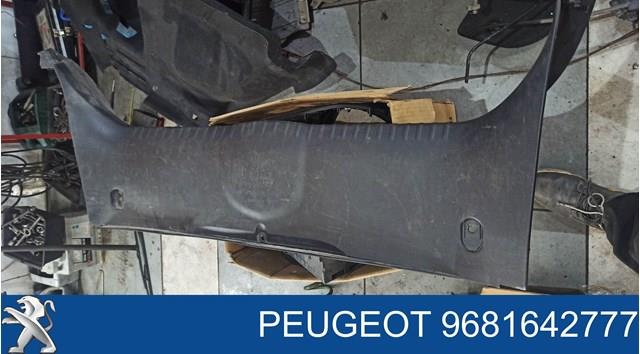  9681642777 Peugeot/Citroen