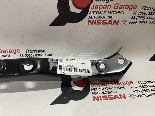  Nissan/Infiniti F25126CAMA