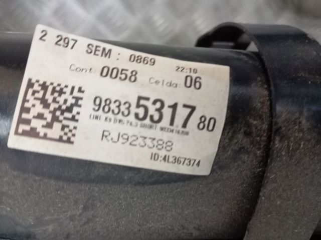 9822650280 Peugeot/Citroen Підвіска задня