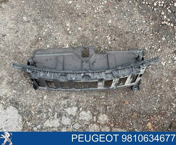 Купити 9810634677 Peugeot/Citroen 