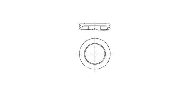 013PI00138000 Mahle Original