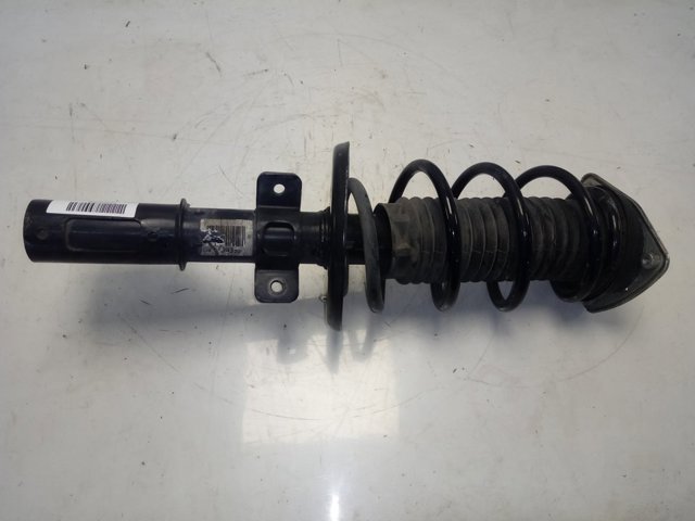 Купити 9829093380 Peugeot/Citroen Амортизатор передньої підвіски