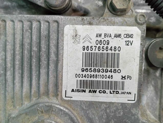 9658939480 Peugeot/Citroen 