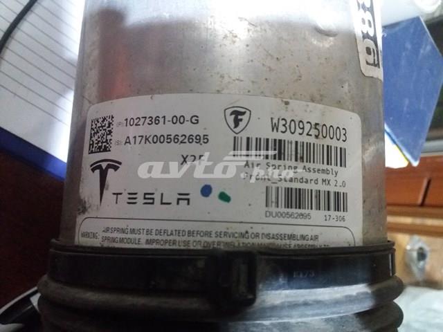 Амортизатори передні Tesla 102736100G